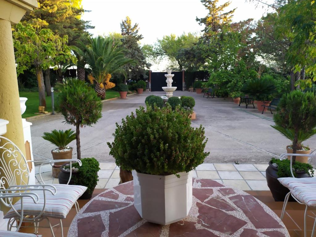 Terraza con vistas al jardín y fuente